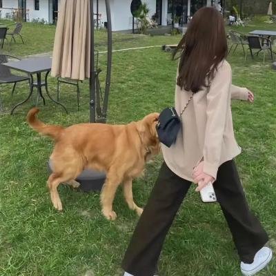 忍者宝宝